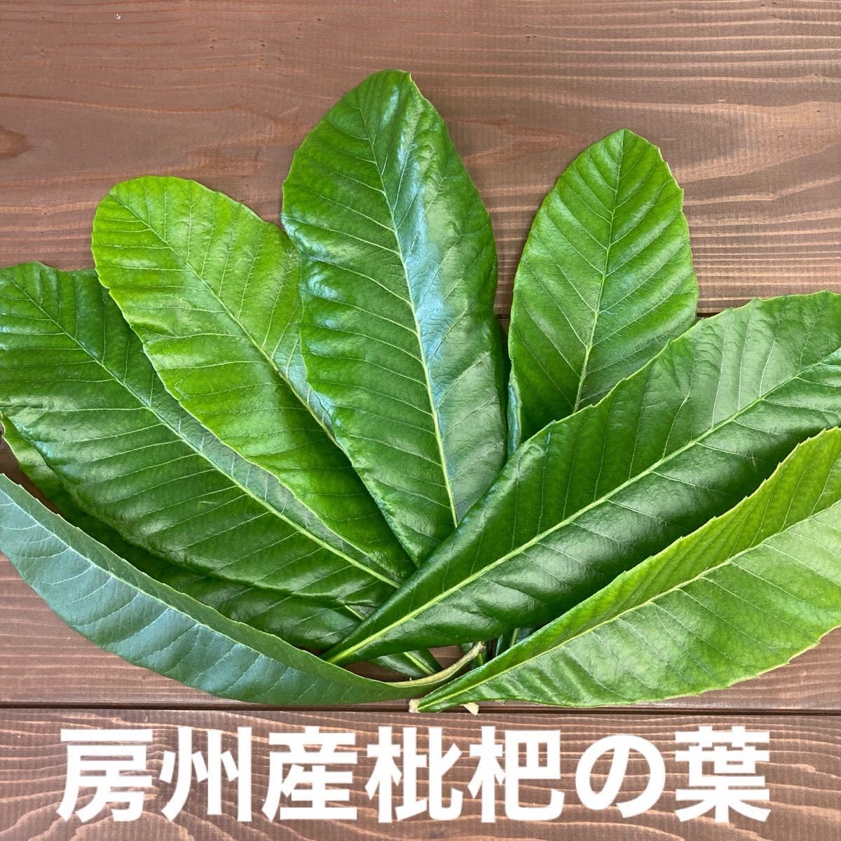 Amazon.co.jp: 房州産 びわの葉 栽培期間中農薬不使用 約200g : 食品